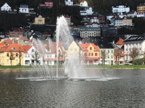 Lake view apartment in center of Bergen - 3 bedrooms